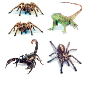 Етикети с 3D паяк и стикери с животни; Живи Скорпиони и Гущери; Забавни стикери за кола ивица; Аксесоари за полагане на коли 
